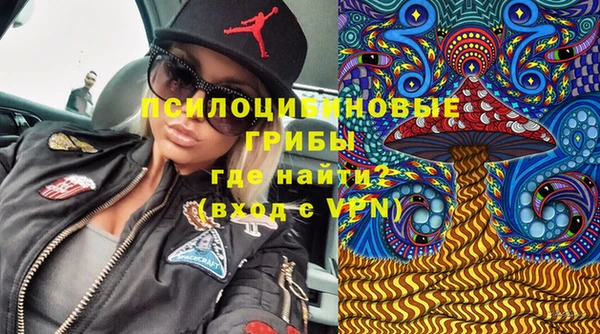 стафф Карталы