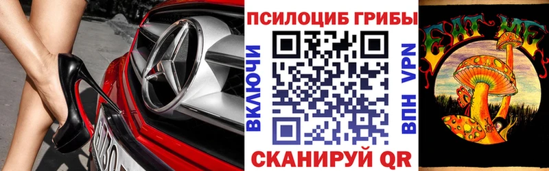 Галлюциногенные грибы Cubensis  Купить  Кировск 